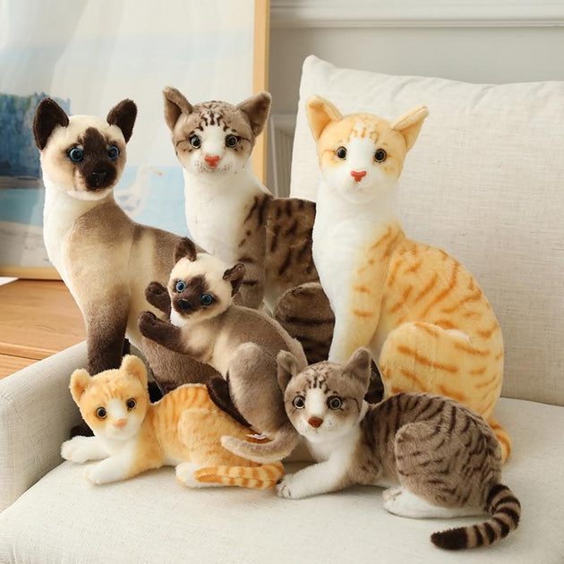Cat Soft & Plush Toy - Shoppers Haven  - Soft Toys     