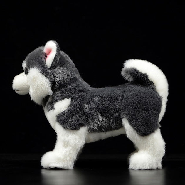 Grey Alaskan Dog Plush Toy - Shoppers Haven  - Soft Toys     