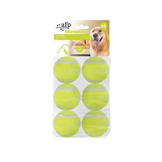 6 Pack Dog Fetch Balls - Heavy Fetch N Treat All For Paws Replacement Ball - Shoppers Haven  - Pet Care > Toys     