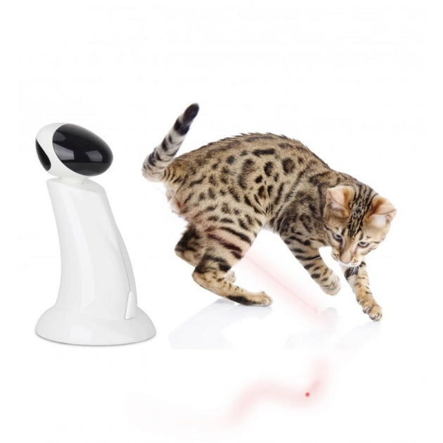 Laser Beam Cat Toy - Interactive Automatic Robot Pointer Pet Kitty Play - AFP - Shoppers Haven  - Pet Care > Toys     