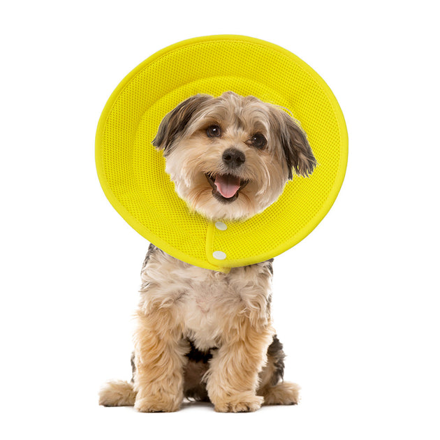 Ondoing Pet Dog Cat Elizabethan Collar Adjustable Cone Mesh Recovery Multicolor - Shoppers Haven  - Pet Care > Cleaning & Maintenance     