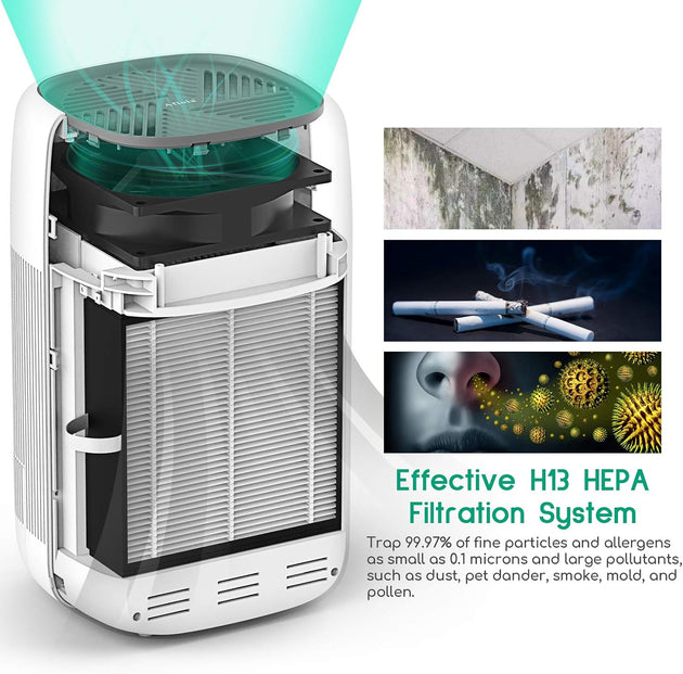 Air Purifier Dehumidifier Q10 HEPA Filter - Shoppers Haven  - Appliances > Air Conditioners     