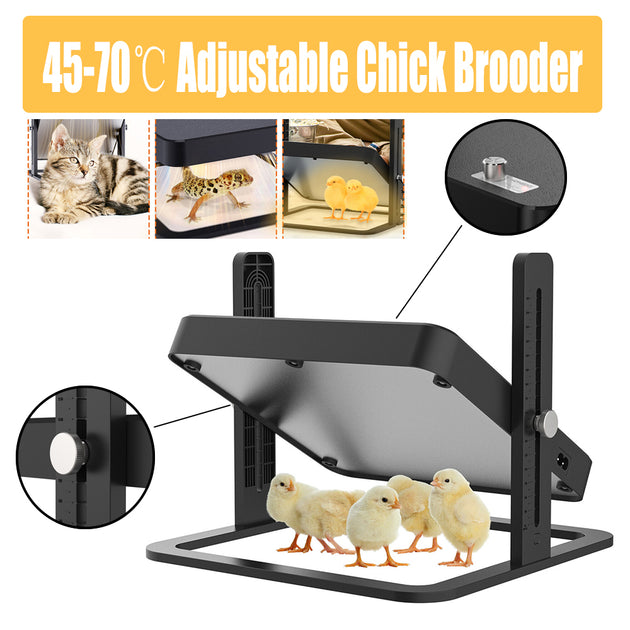 40 degrees celsius to 70 degrees celsius Adjustable Chick Brooder Heating Plate Chicken Coop Duck Poultry Brooder - Shoppers Haven  - Pet Care > Coops & Hutches     
