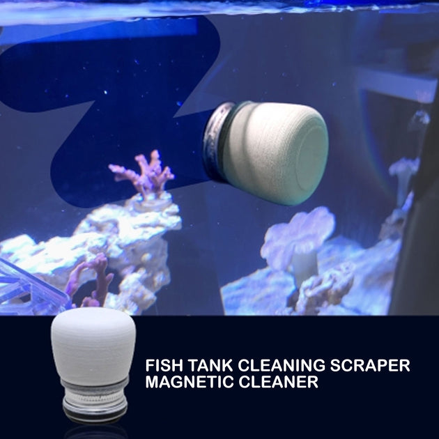 Minfactory Fish Tank Corner Moss Magnet Scraper Glass Algae Cleaner Magnetic Scrubber - Shoppers Haven  - Pet Care > Aquarium     